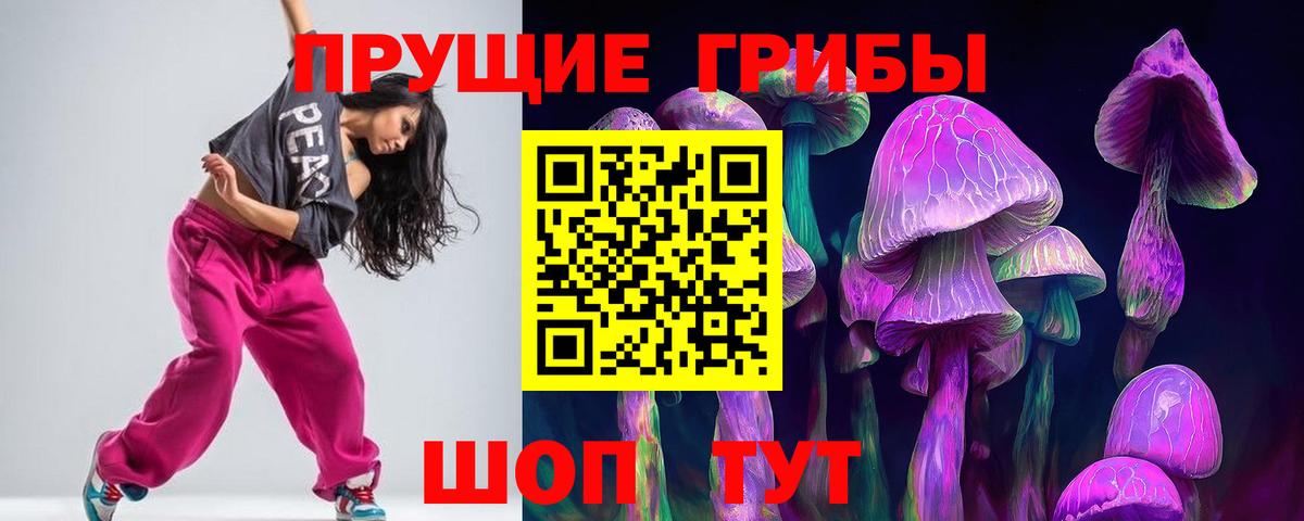 Псилоцибиновые грибы GOLDEN TEACHER  Вход с VPN  Бузулук  Псилоцибиновые грибы Cubensis 